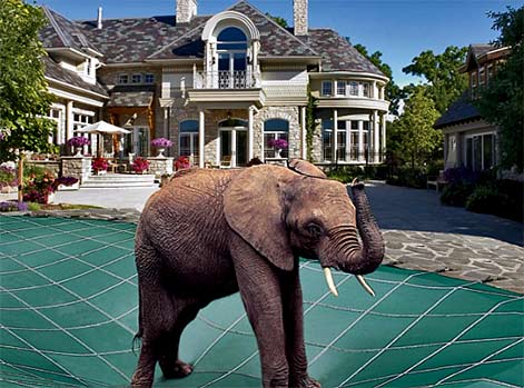 Home-Magazine-by-STUDIO-Gannett---issuu--- Large elephant fountain sculpture