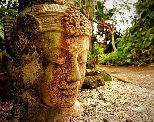 Bubddha-head I-may-not-have-gone-where-I-intended-to-go,-but-I-think-I-have-ended-up-where-I-needed-to-be