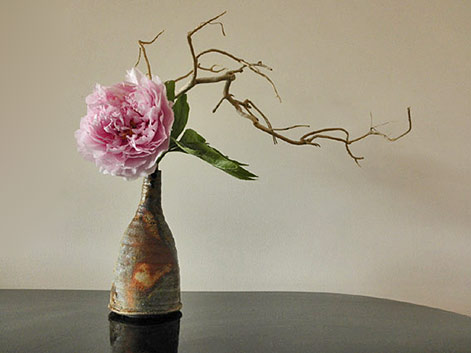 ikebana-Gunter-Black,-Australia-Jochen-Ruth ikebana-Gunter-Black,-Australia-Jochen-Ruth - pink flower