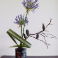 ikebana by Gunter Black