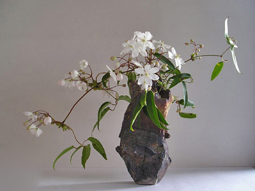 ikebanaGunter-Black,-AustraliaJochen-Ruth white flower ikebana by Gunter Black,-Jochen-Ruth vase