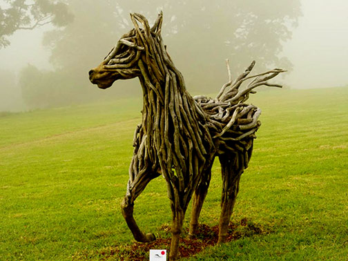 Illusion-by-Vikki-Holik-Blazley-2017-Sue-Agar Illusion-by-Vikki-Holik-Blazley-2017 kangaroo Valley -photo by Sue-Agar