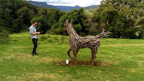 Illusion-by-Vikki-Holik-Blazley