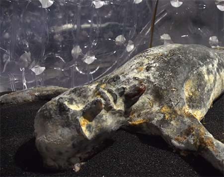 Imitation-Of-Christ--57th-Venice-Biennial--