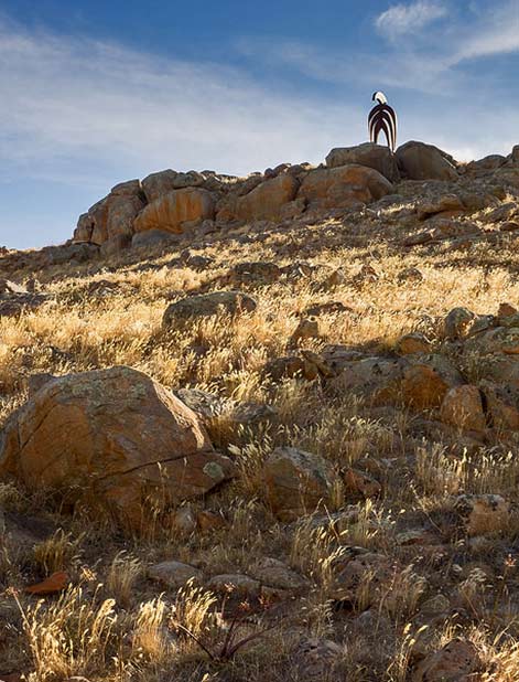 john-blines-displaced-1 john-blines-displaced-1 Palmer Biennial sculpture