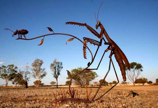 Jordan-Sprigg---Preying-Mantis Jordan-Sprigg---Preying-Mantis Australian sculptior