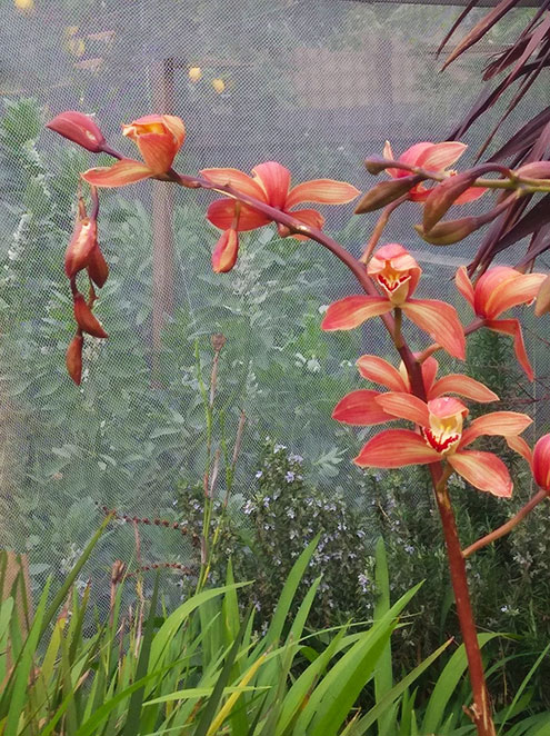 $(KGrHqMOKpQE1qmfnzf)BNq6oF8B)g___3 $(KGrHqMOKpQE1qmfnzf)BNq6oF8B)g___3