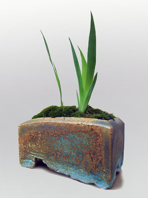 KusamonoPlantedWithIrisesAndMossDetail Kusamono Planted WithI rises And MossDetail