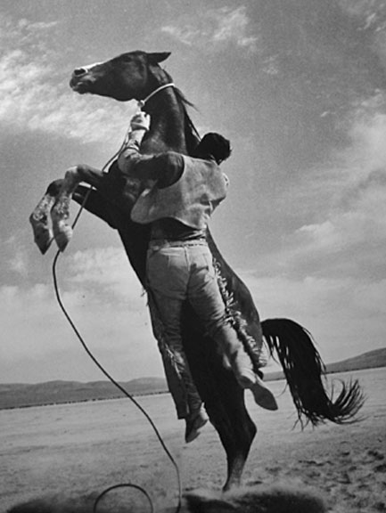 ernst-haas-photography leaping_horse-ernst-haas on the set of the movie 'Misfits"