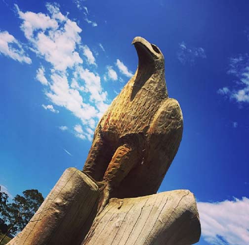 -lewoo-on-Instagram---bunjil--bodalla