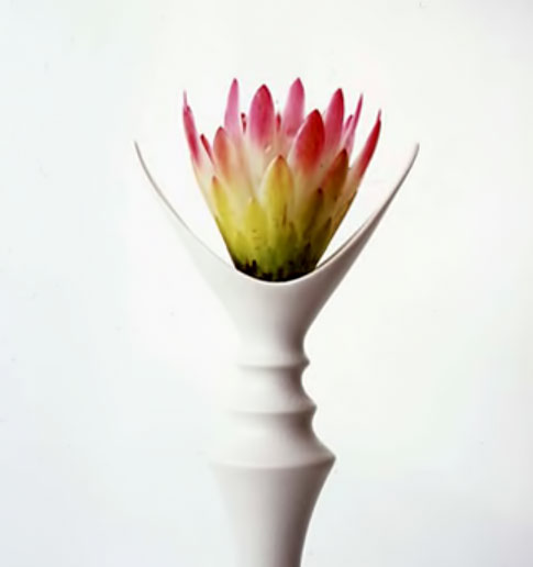 Limited-Edition-Prints---Vivienne-Foley Limited Edition Prints---Vivienne Foley pink flower in white vase