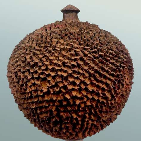 Lobi-terracotta-storage-vessel-from-#burkinafaso Lobi terracotta storage vessel, Burkina Faso