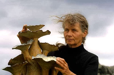 400px-266px-lotteglob.jpg lotte glob