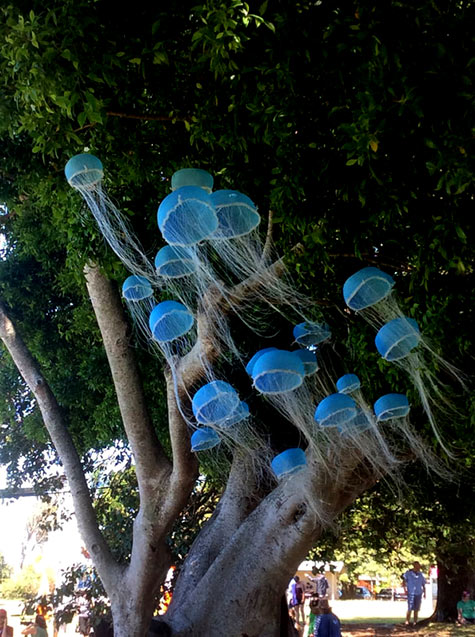 Melissa-HIRSCH--'Jellyfish-Tree' Melissa Hirsch--'Jellyfish Tree'