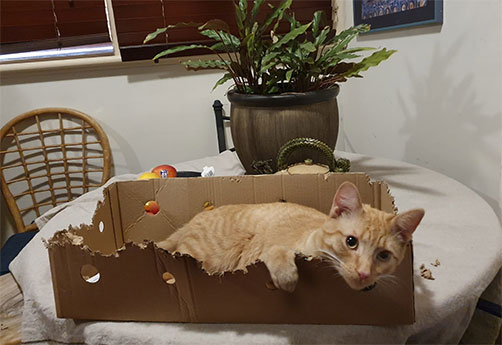 Messiah-on-a-break Messiah on a break