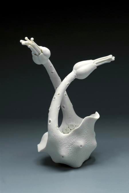 450px-672px-micro-hybrid-bi-flora-Lindsay-Feuer.jpg Micro hybrid bi flora - Lindsay Feuer