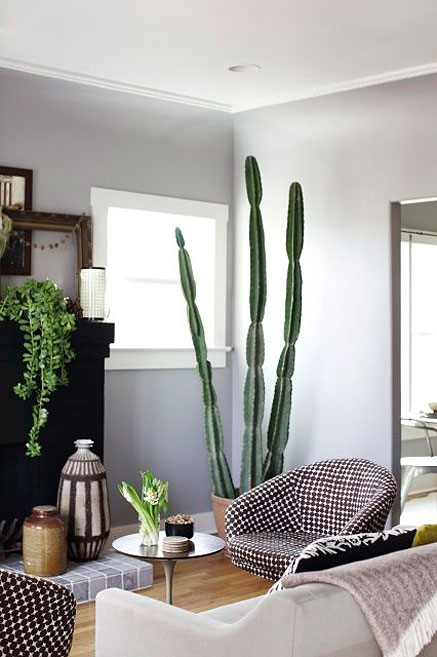 Mid-Century-floor-pots