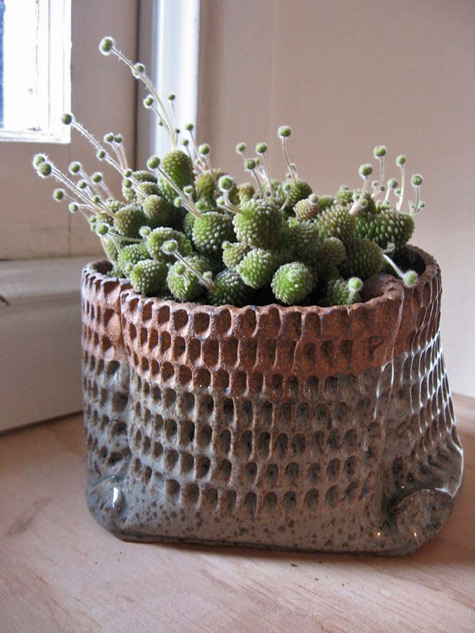 Incised planter-by-Morgan-Peck Morgan-peck-planter