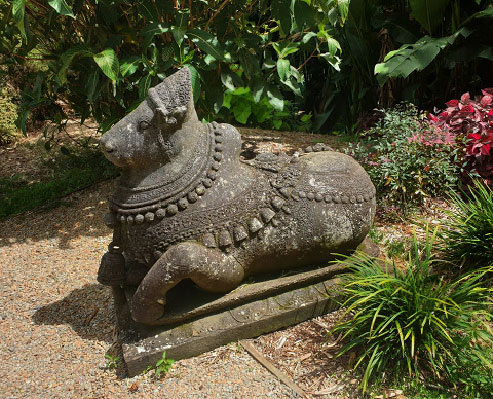 Nandi-Katy-Mac=== Nandi the Bull volcanic rock statue