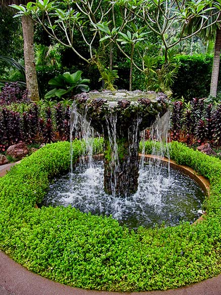 National-Orchid-Garden-Singapore National-Orchid-Garden fountain