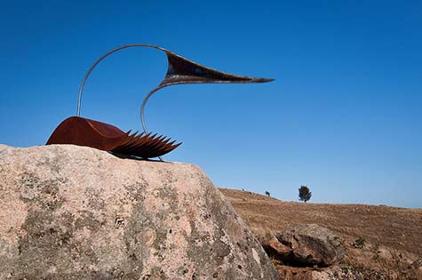 bird-spirit-vessel-nick-uhlmann nicholas-uhlmann-bird-spirit-vessel-bill-doyle