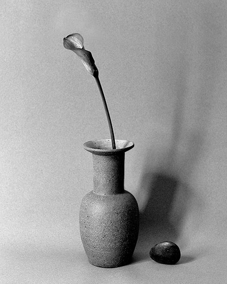 Nicolette-Johnson-lily-nd vase Nicolette-Johnson raised neck ovoid vessel