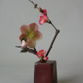 Ome rain ikebana