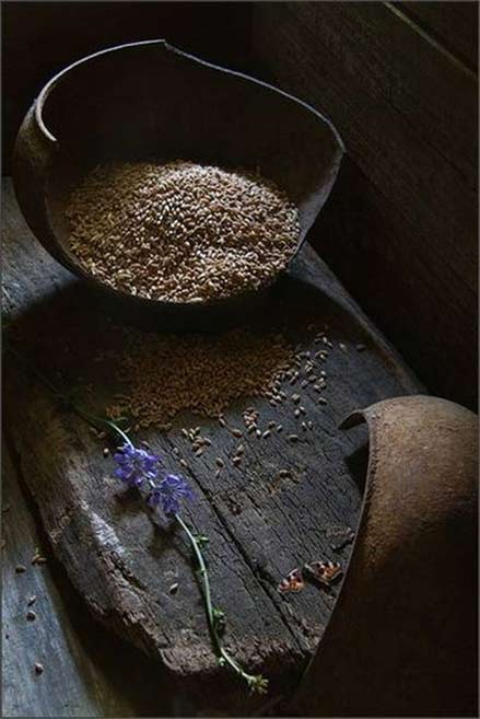 original_Kr8V_0a280000259e1191