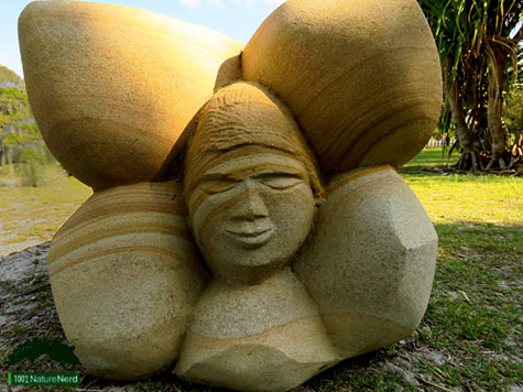 Pandanas-Seed-People-–-Antone-Bruinsma Pandanas Seed People-–-Antone Bruinsma