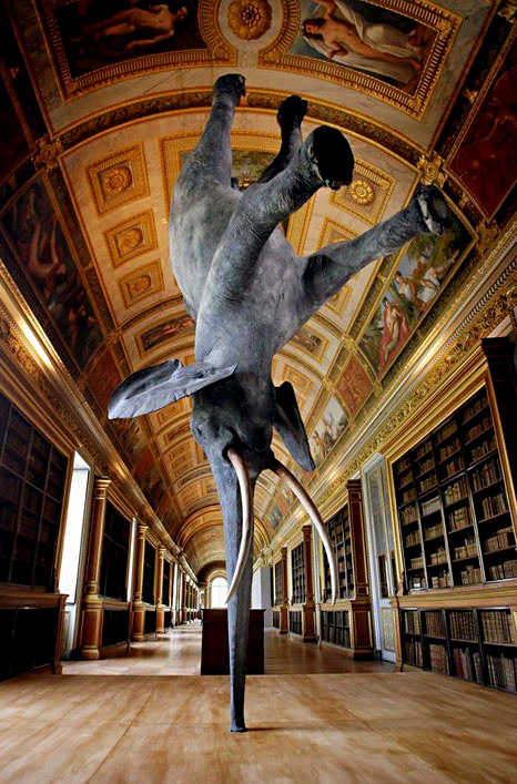 Daniel-Firman-.-Elephant-466x707 Paris based artist Daniel Firman Elephant Galerie Perrotins