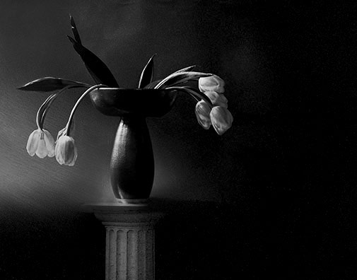 Pedestal-Nicolette-Johnson Black and white photo of a pedestal vase with tulips - Nicolette Johnson