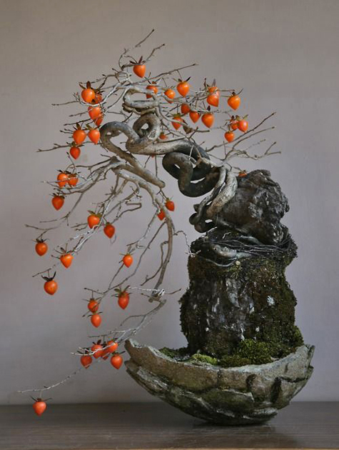 bonsai-tree Persimmon-bonsai-tree----mt-satsuki.tumblr.com