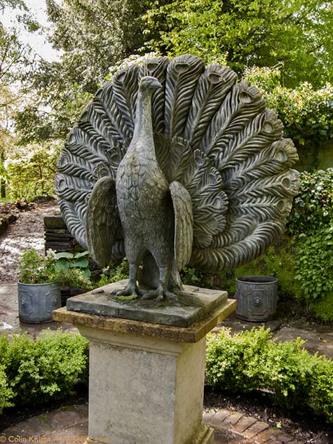 Philip-Jackson's-Garden-peacock-statue