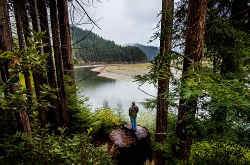 photo-kevin-arnold photo-kevin-arnold