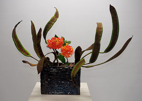 Pats-Ikebana-Poinchiana-Podas-and-Ixora-2015 Pats-Ikebana-Poinchiana-Podas-and-Ixora-2015