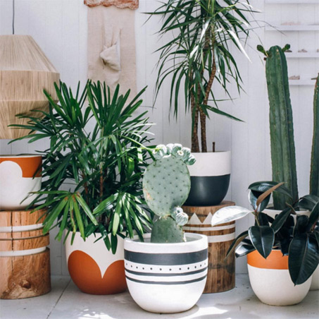 ceramic--planters-popandscott Planters by Popandscott-•-Instagram-