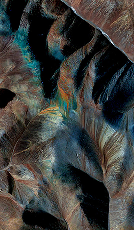 Potral-oddyssy---Dakinin-Rodeo-Robbiv-Hood -Dakinin-Rodeo-Robbiv-Hood -- digital Art