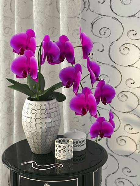Purple-flowers-black-round-side-drawers White vase with purple-flowers