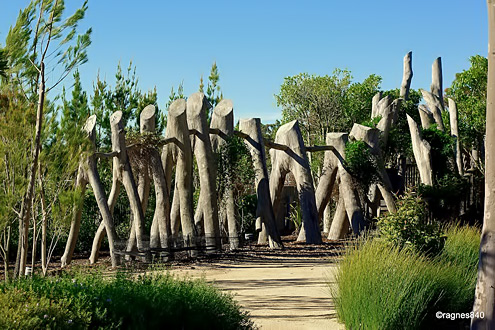 Cranbourne-Australia-Garden Cranbourne Botanical Gardens - photo Roger-Nelly