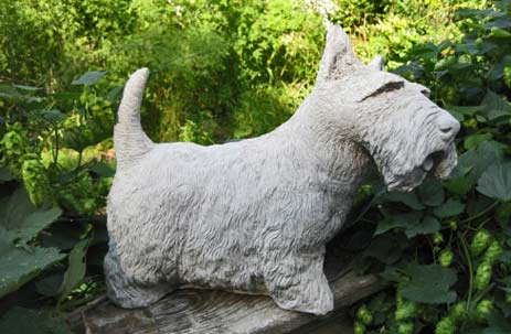 Scottish-Terrier-statue-springhillstudio springhillstudio-Large-Scottish-Terrier-statue-in-conrete