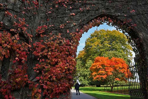 Stourhead-autumn-photo-Toby-Melville stourhead-autumn-uk-toby-melville