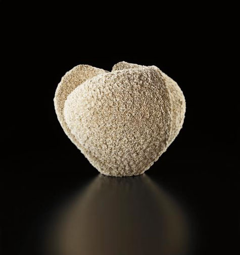 Makiko-Hattori-ceramic-sculpture Tane '- (Seed), - circa-2013-Makiko-Hattori