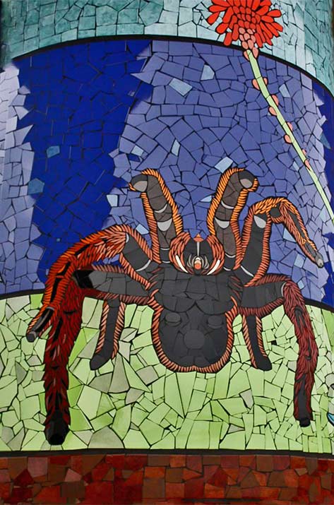 tarantulalong-arana-pollito-by-isidora-lopez