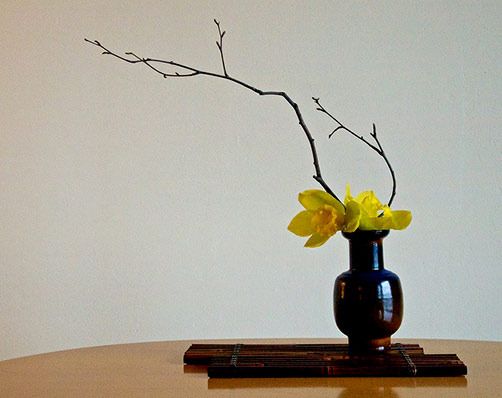 The-Nordic-Lotus-Ikebana-Blog The Nordic Lotus Ikebana Blog - Birch branches and Cymbidium