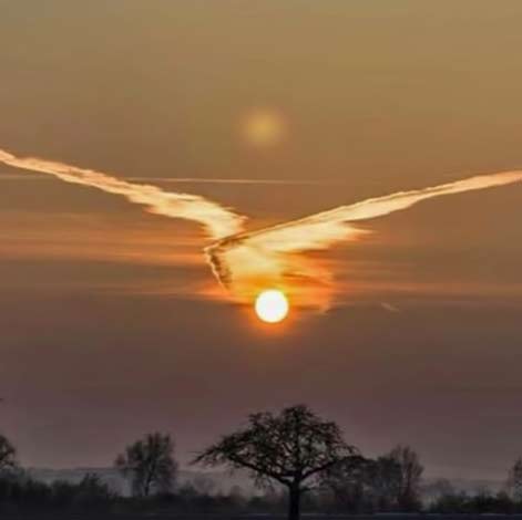 bunjil cloud form at sunset thereisafield---Instagram bunjil in flight cloud form at sunset