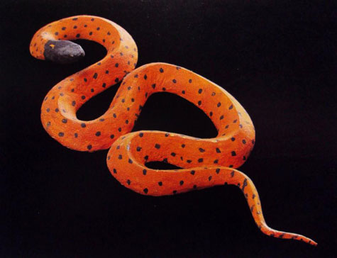 Tjapaltjarri,-Clifford-Possum,-Carved-and-Painted-Snake-c Tjapaltjarri, Clifford Possum, Carved and Painted Snake