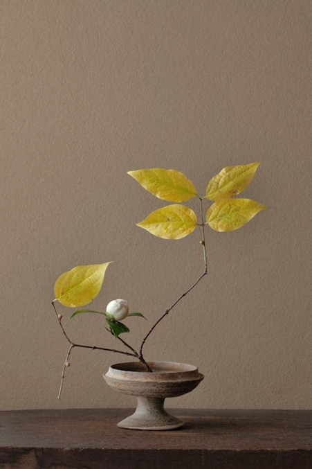simple-ikebana-Toshiro-Kawase Toshiro-Kawase--ikebana