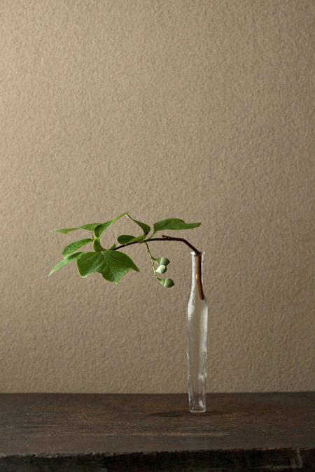 Toshiro-Kawase-ikebana Toshiro-Kawase-flower-one-day