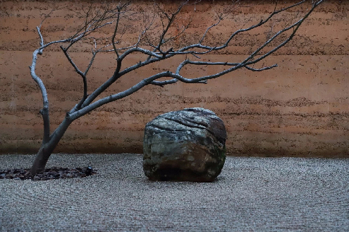 Tree,stone.courtyard Tree,stone.courtyard