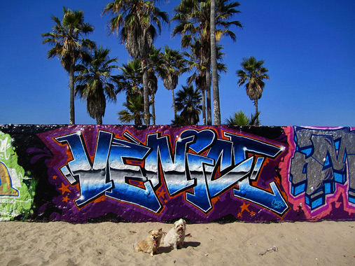 art-wall-venice-beach-507x380 Vivianne-Robinson Venice Beach art walls